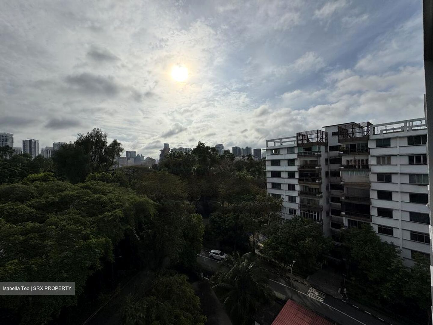 Botanic Gardens View (D10), Apartment #460422741